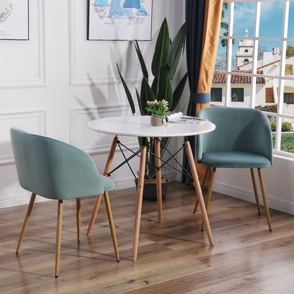 ALOE Velvet Iron Leg Chair-Cactus Color