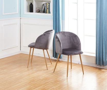 ALOE Velvet Iron Leg Chair-Grey