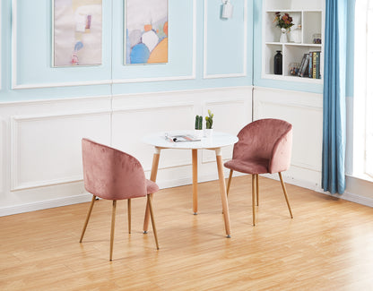 ALOE Velvet Iron Leg Chair-Pink