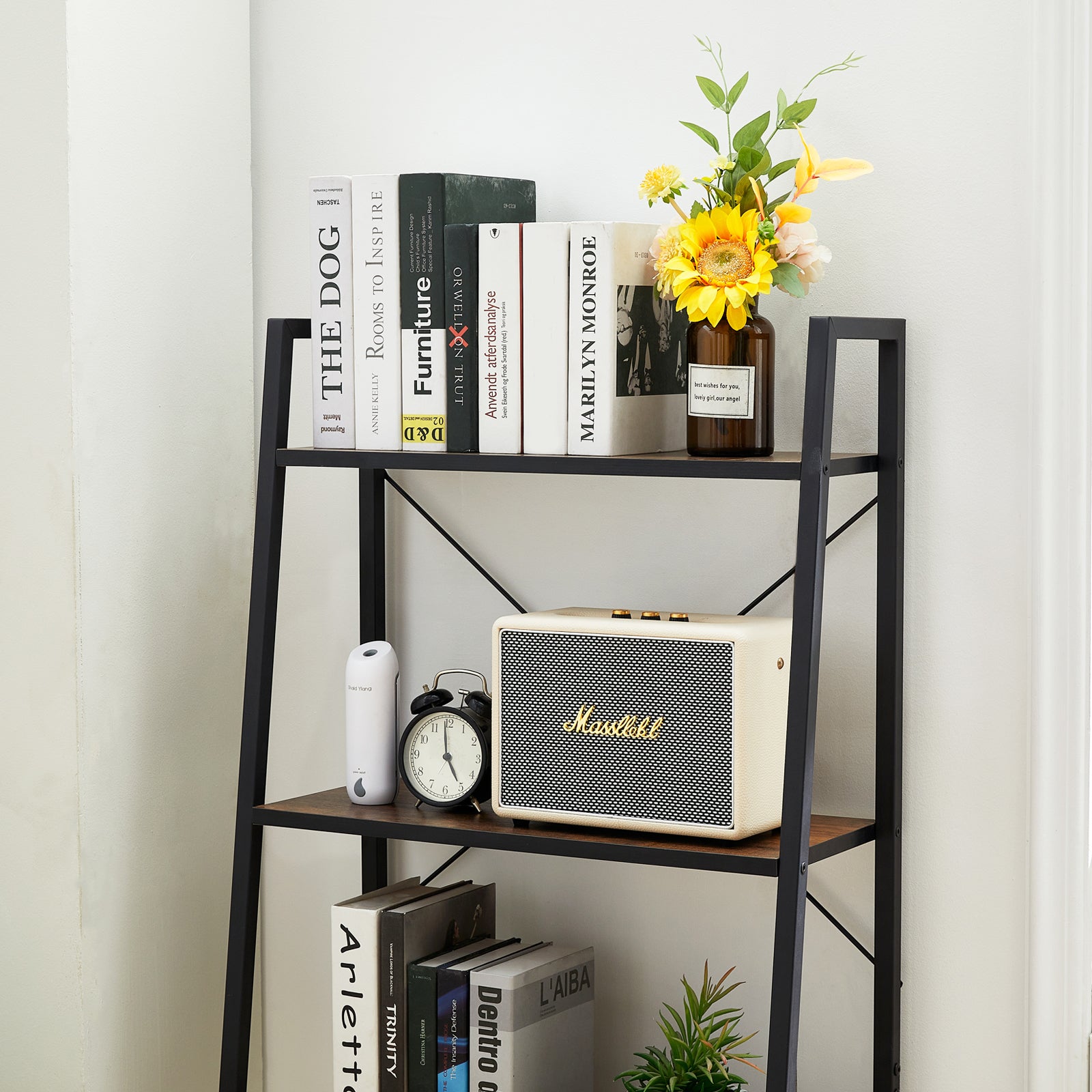 GRAPE 4-Tier Ladder Shelf with Metal Frame - Rustic Brown